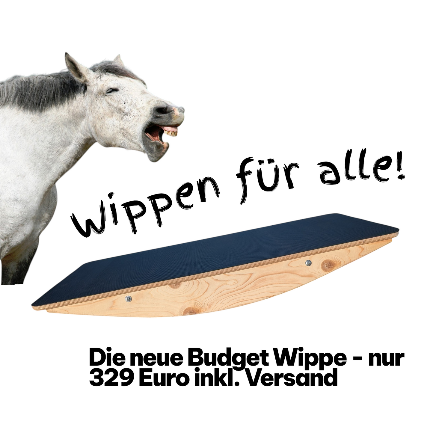 Pferdewippe "Budget" 125 x 60 cm