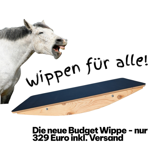 Budget Wippe 125 x 60 cm